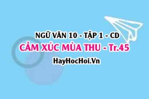 Soạn bài Cảm xúc mùa thu trang 45 lớp 10 Cánh Diều tập 1
